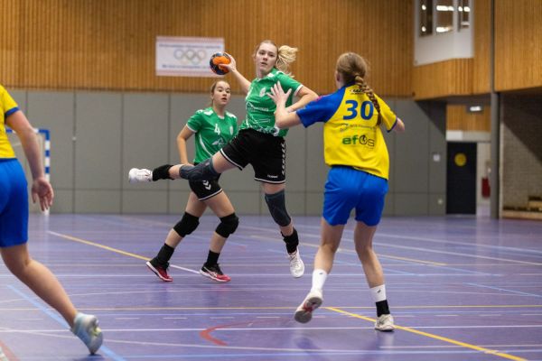 Ruim 60 jaar passie voor handbal