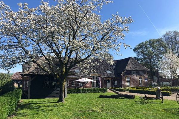 Voorjaarsmarkt bij Buurderij De Lage Hof in Overasselt