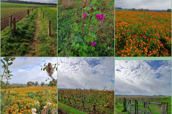KISTE TRUI WANDELTOCHT