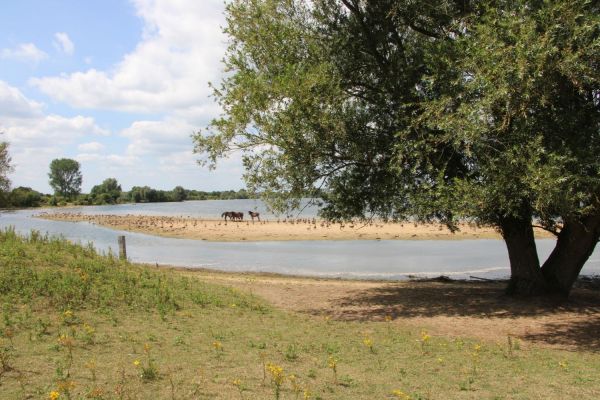 Wandelen bij natuurpoort De Bungelaer