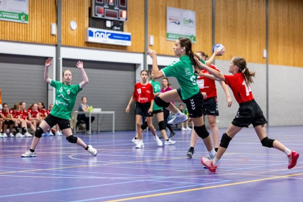 Ruim 60 jaar handbalplezier!