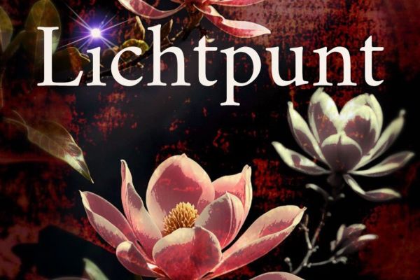 Debuutroman Lichtpunt van Simone van Walsem