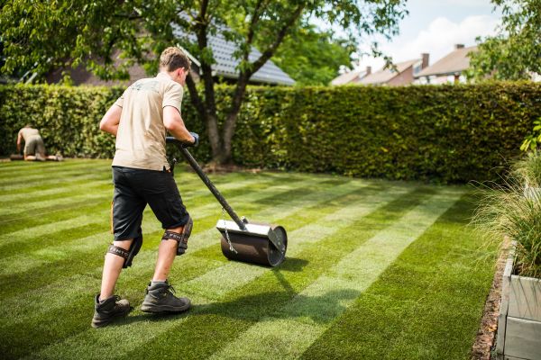Voorjaarstips voor een Perfect Gazon