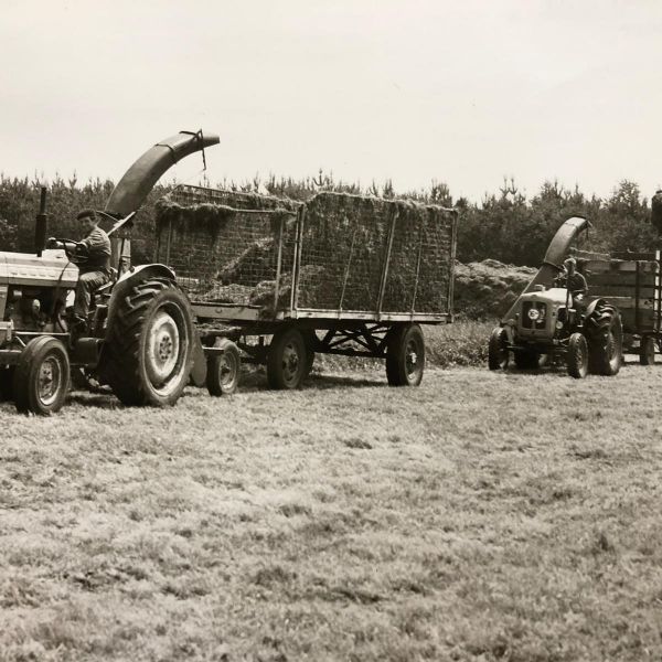 75 jaar Laarakkers