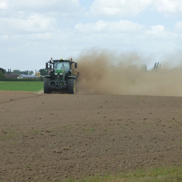 Hommersum bloeit op!