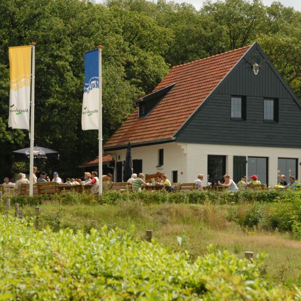 NP De Maasduinen: Landgoed de Hamert