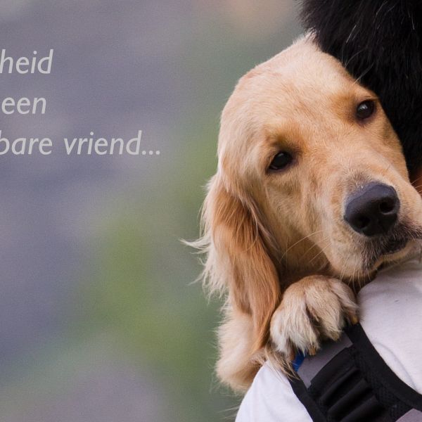 Een waardig afscheid voor uw huisdier!!!