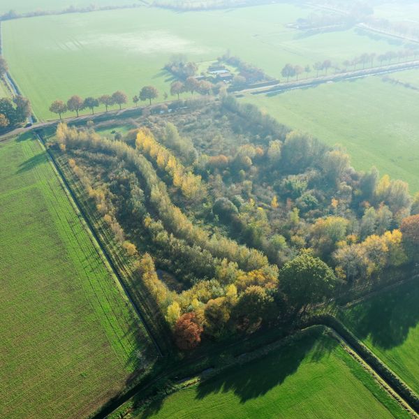 Van voedselbos Ketelbroek word je blij