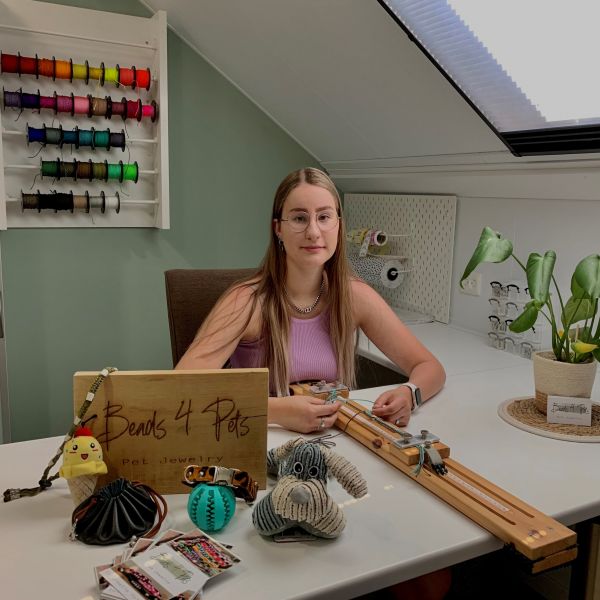 De mooiste anti-teken/vlooien banden en halsbanden voor jouw hond!