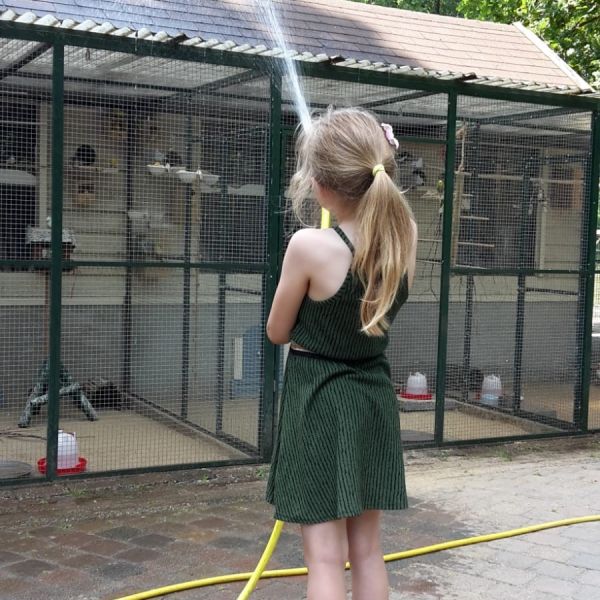 Zomer op de kinderboerderij in Gennep