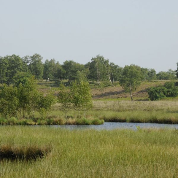 Nationaal Park De Maasduinen