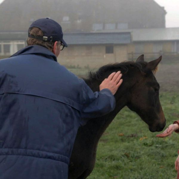 Boer zoekt vrouw Sonja: