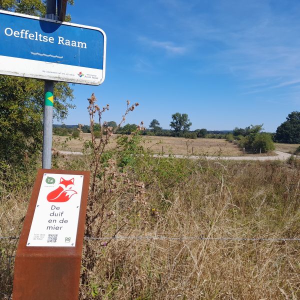 Fabelroute: dierlijke avonturen in de Maasheggen
