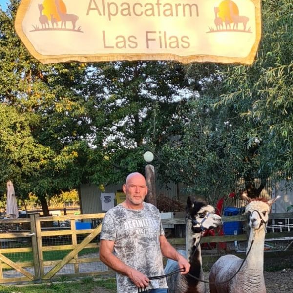 Wandelen met Alpaca’s geeft rust