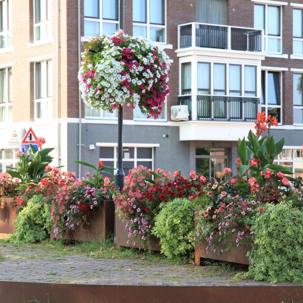 Het is goed vertoeven in Millingen