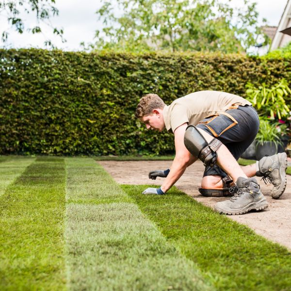We gaan de tuin weer in!