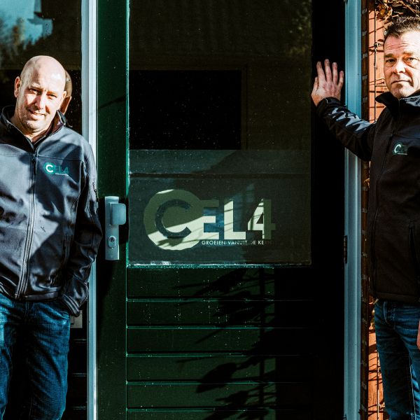 Groeien vanuit de kern in Cel 4