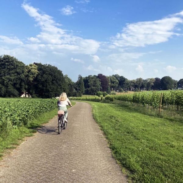 BOERgondische wijnfietstoer