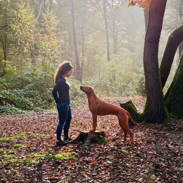 Hadise houdt van honden!