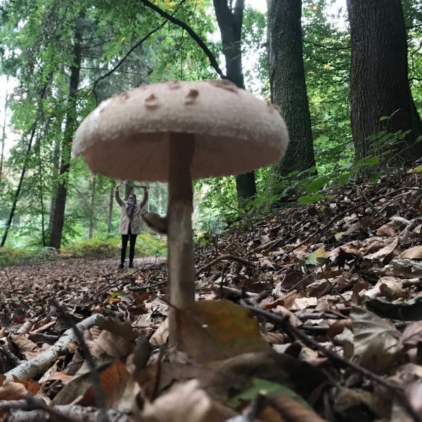 Genieten van vier seizoenen