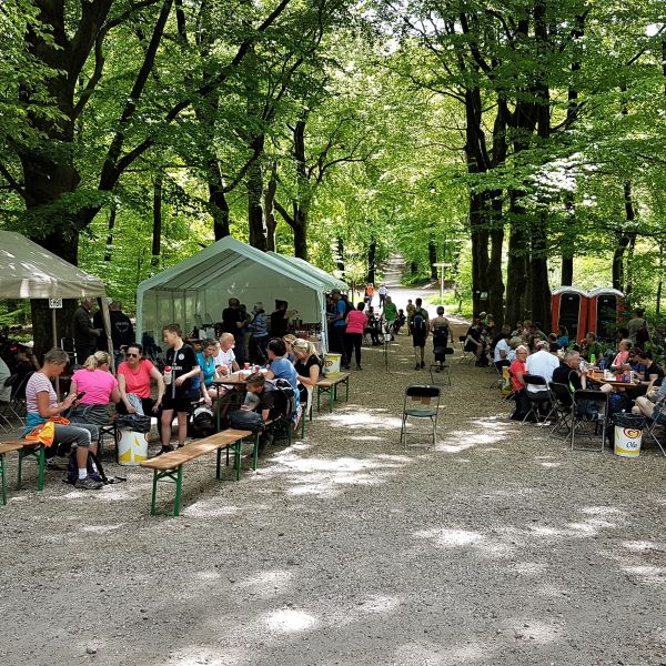 Bosbesjeswandeltocht op 3 en 4 mei 2025