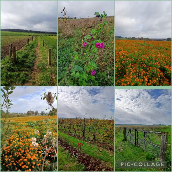 KISTE TRUI WANDELTOCHT