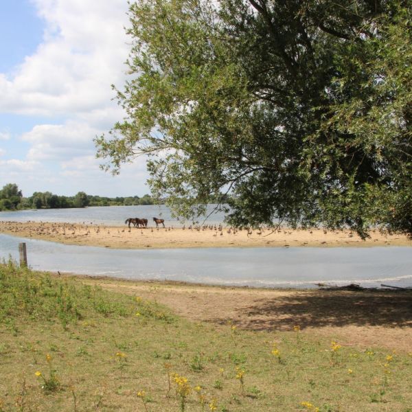 Wandelen bij natuurpoort De Bungelaer