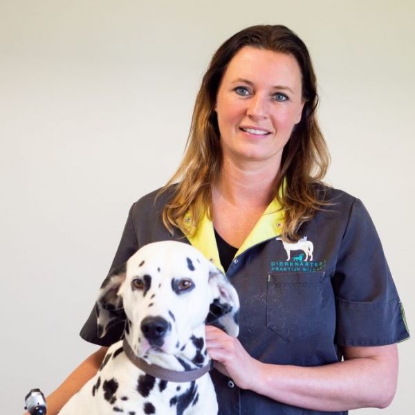 Wijchense dierenarts zet zich in voor straathonden in Kosovo