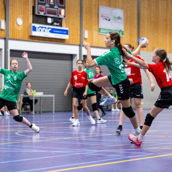 Ruim 60 jaar handbalplezier!