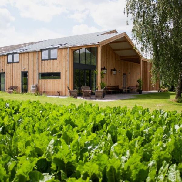 Genieten en wijn proeven in Groesbeek