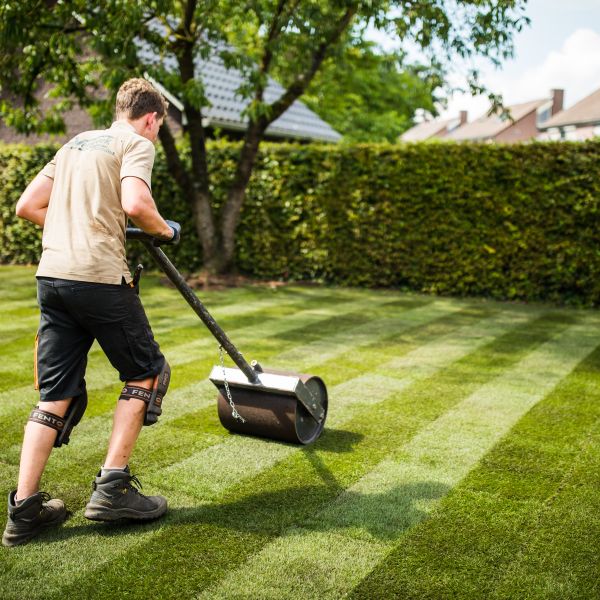 Voorjaarstips voor een Perfect Gazon
