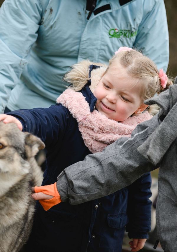Stichting Opkikker 2