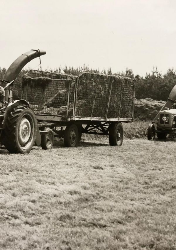 75 jaar Laarakkers