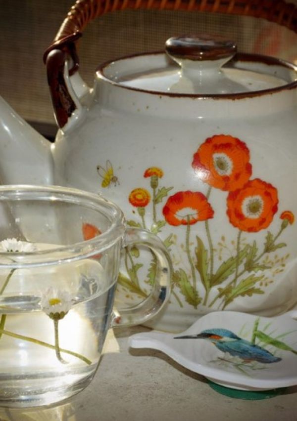‘Madeliefje, symbool van de lente’