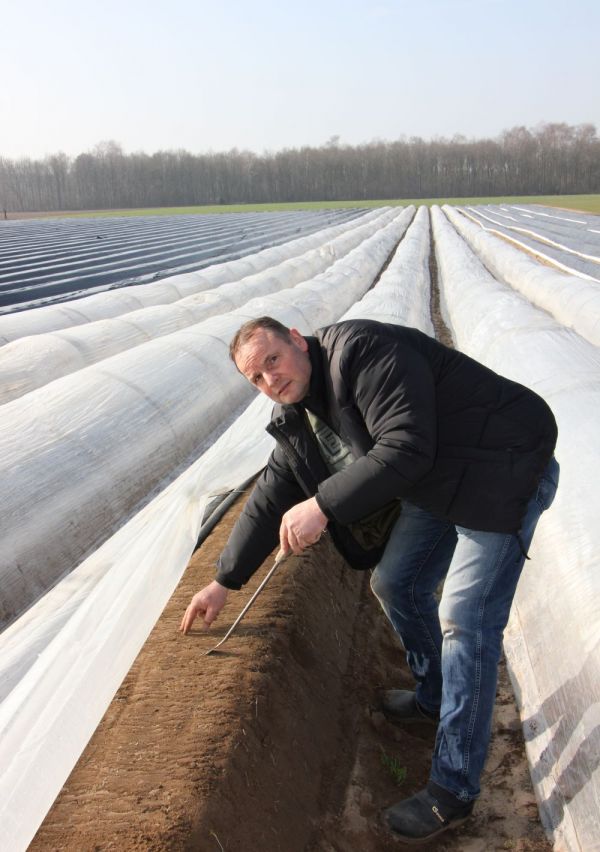 Schitterend wit goud!