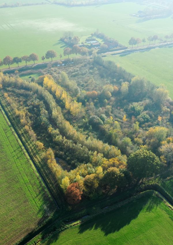 Van voedselbos Ketelbroek word je blij