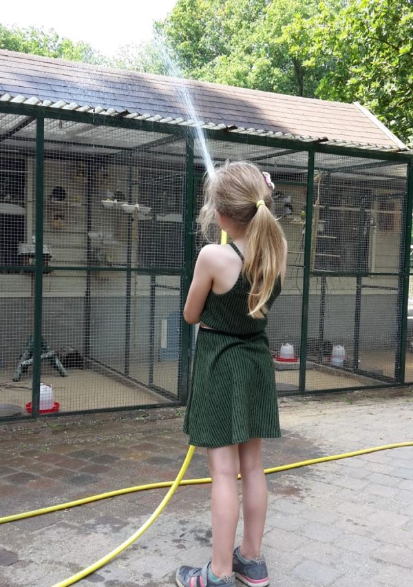 Zomer op de kinderboerderij in Gennep