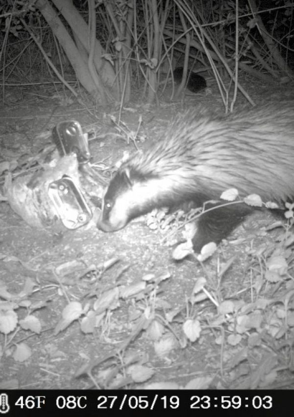 Slapend de winter door of toch niet!?