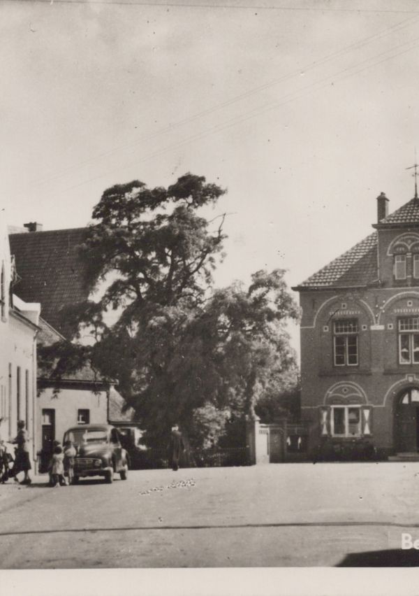 De naamgeving van Bergen