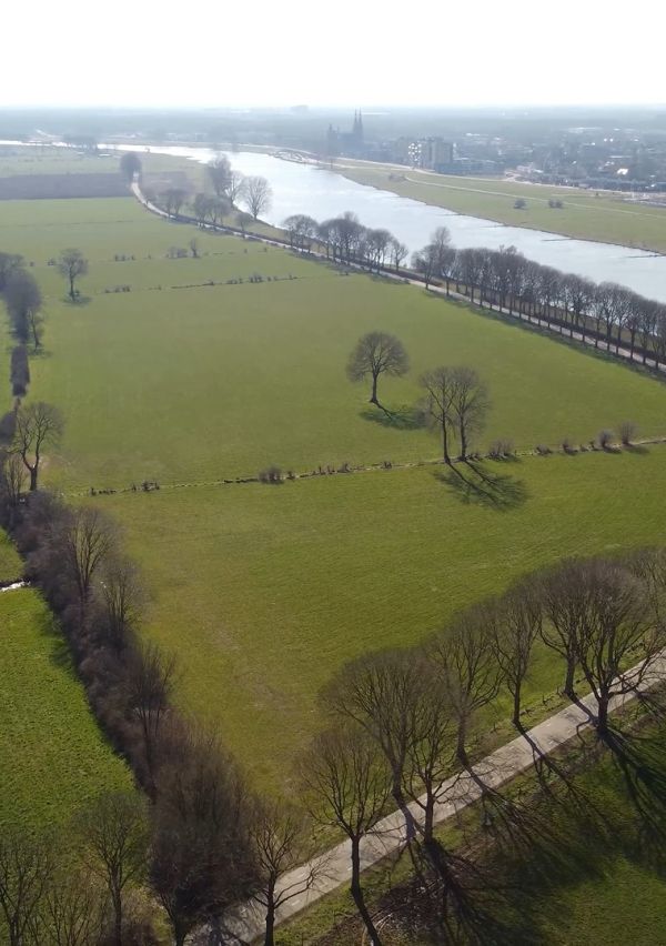Ontwikkeling Maasheggenlandschap