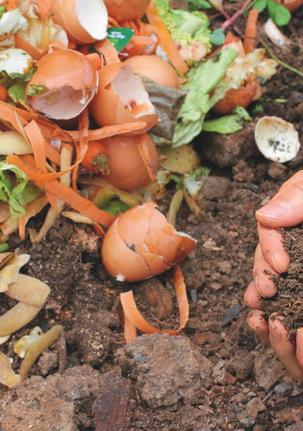 Gratis compost op zaterdag 23 april 2022