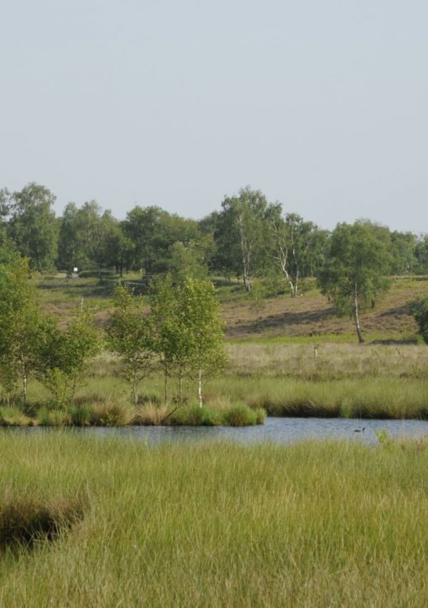 Nationaal Park De Maasduinen