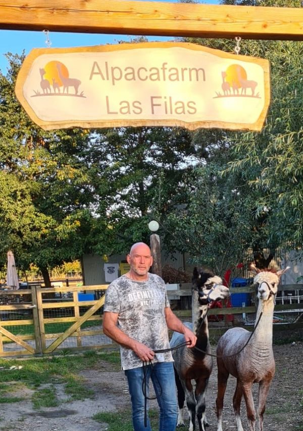 Wandelen met Alpaca’s geeft rust
