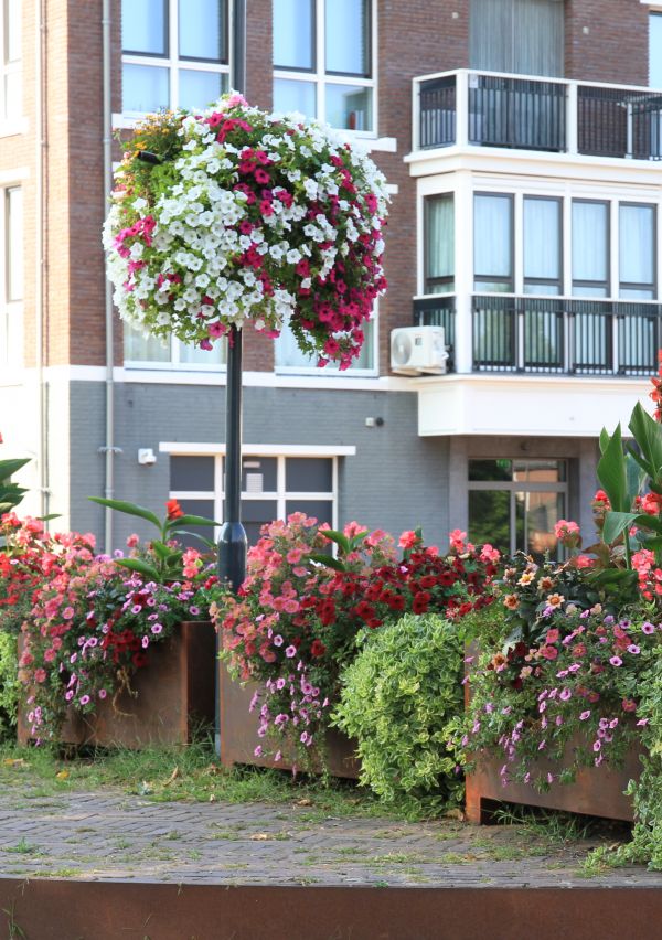 Het is goed vertoeven in Millingen