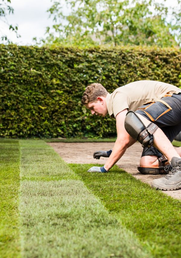 We gaan de tuin weer in!