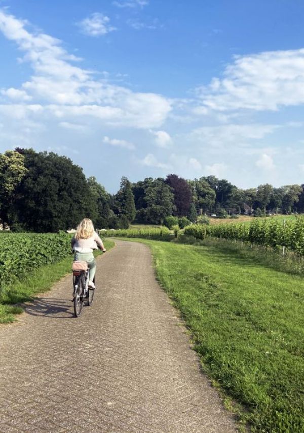 BOERgondische wijnfietstoer