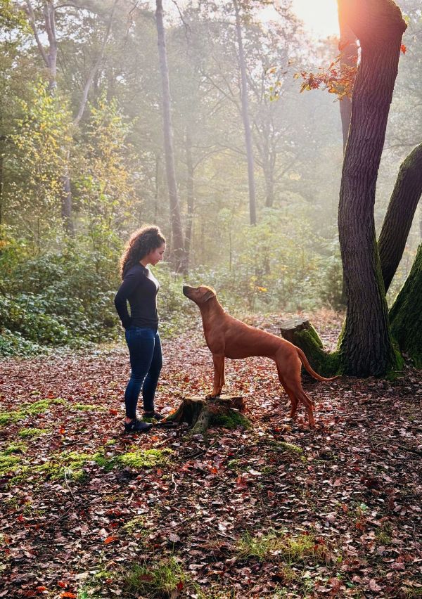 Hadise houdt van honden!