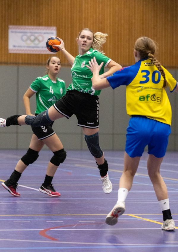 Ruim 60 jaar passie voor handbal