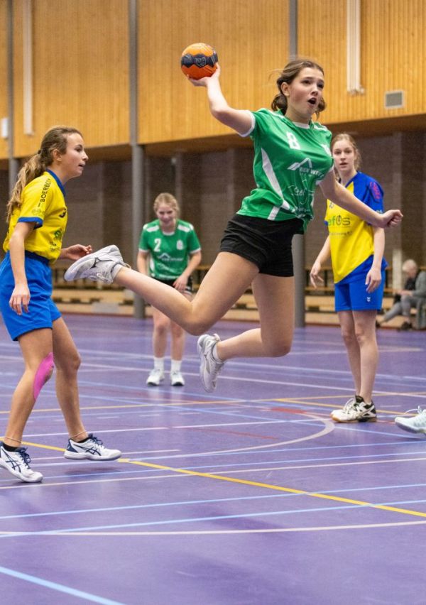 Ruim 60 jaar passie voor handbal 1
