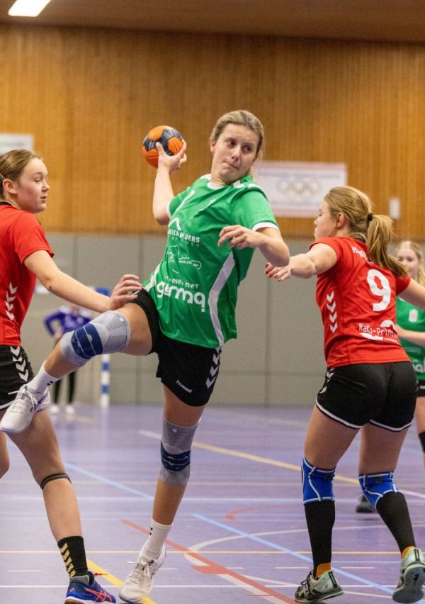 Ruim 60 jaar passie voor handbal 2